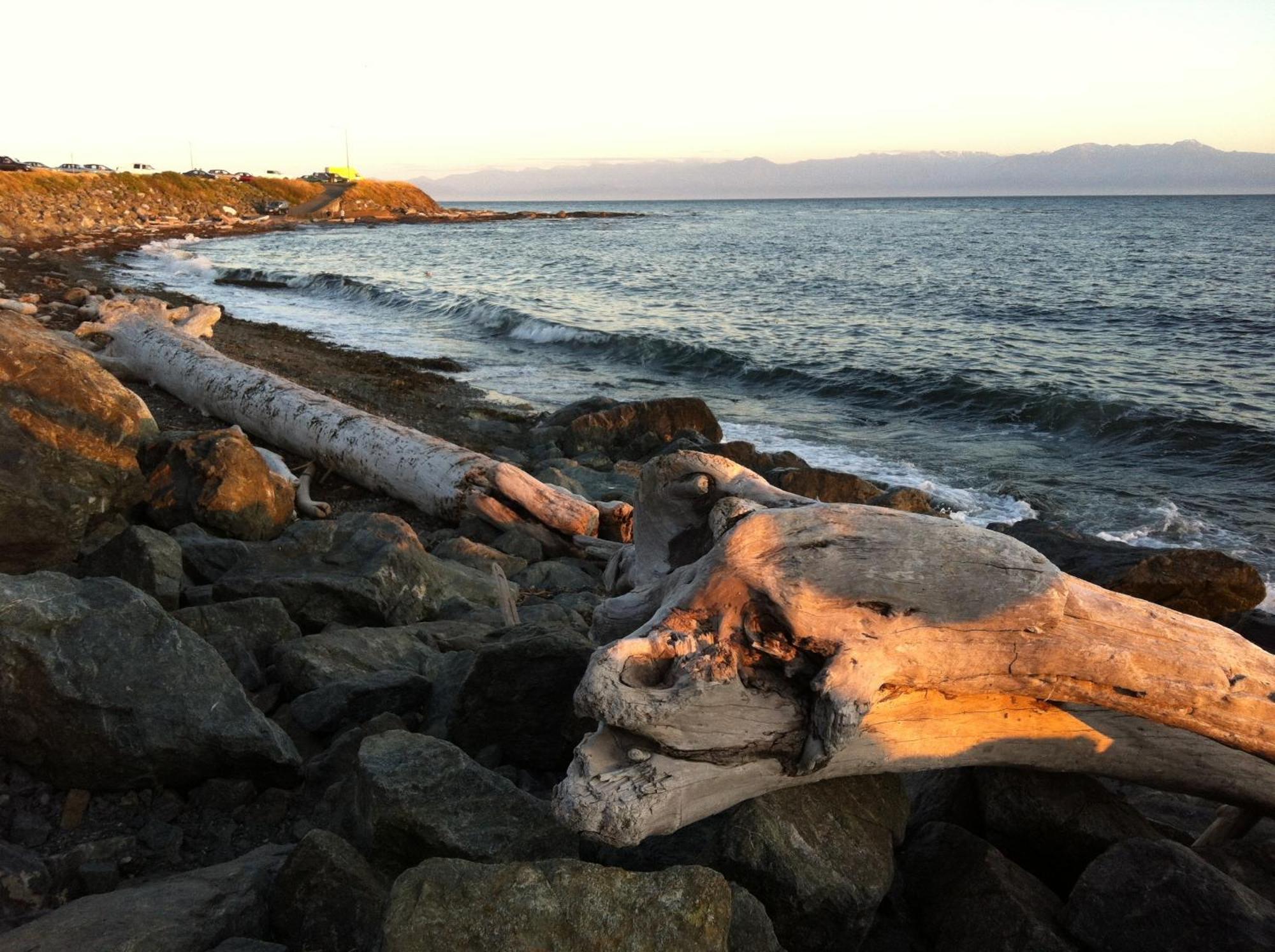 Dashwood Manor Seaside Bed & Breakfast Victoria Bagian luar foto